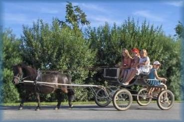 Schnappschuss von einer Ponykutschfahrt